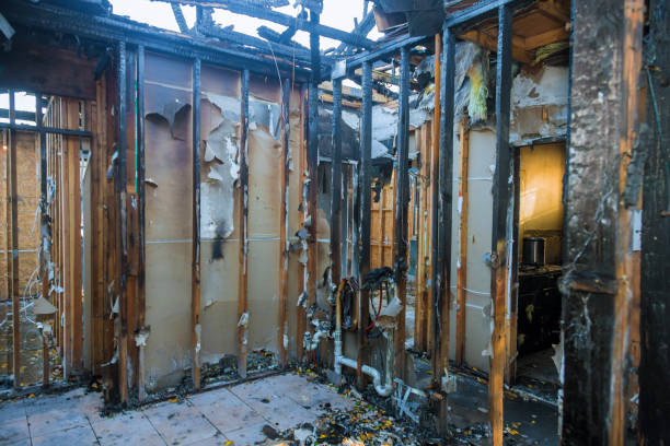 Professional Fire Damage Removal technician working in Finneytown, OH